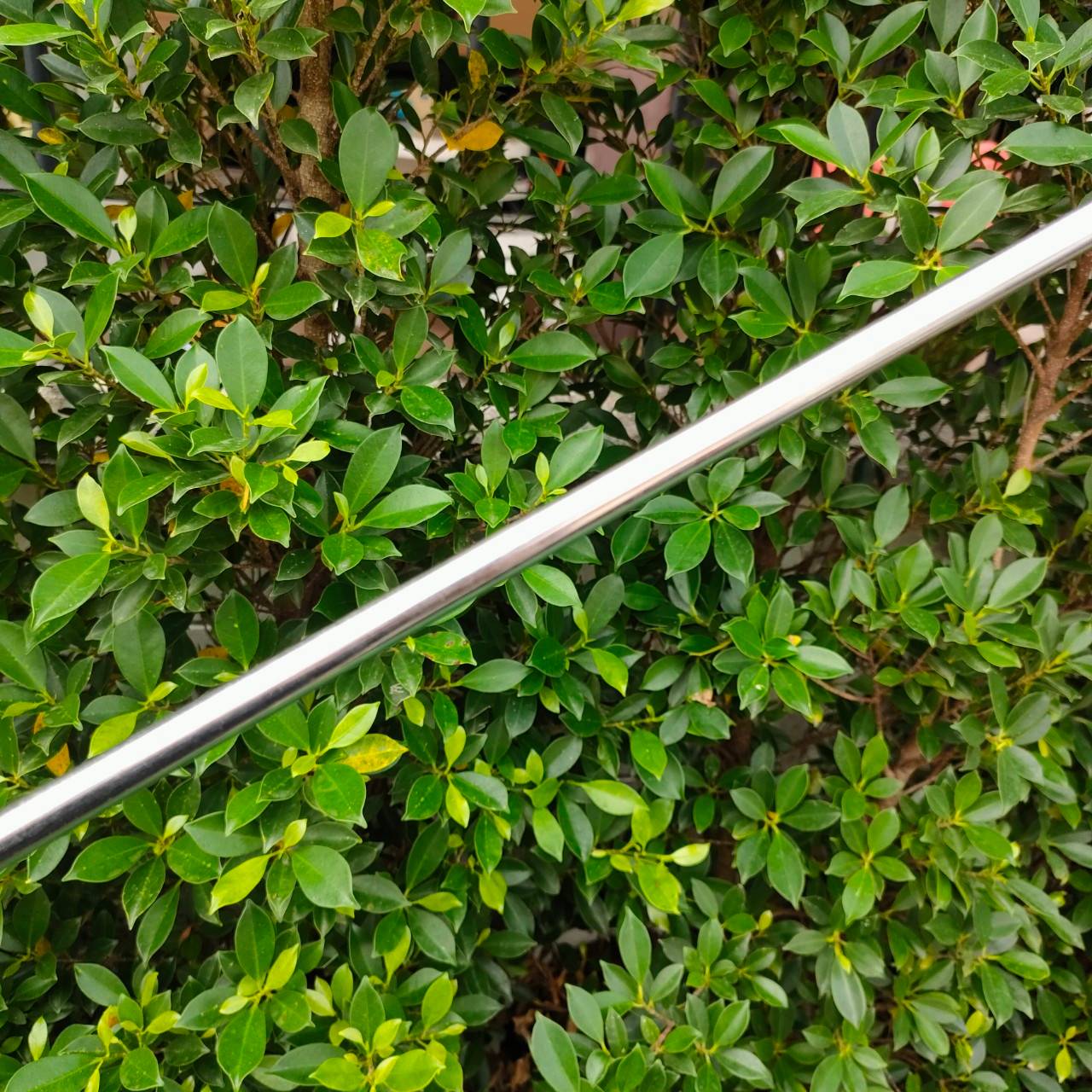 PUTTER HONMA HP-803 ความยาว 34 นิ้ว MADE IN JAPAN SAKATA รูปทรงมอลเล็ต พัตต์ง่าย หน้า MILLED เกาะไลน์ พรีเมี่ยมสุดๆครับ