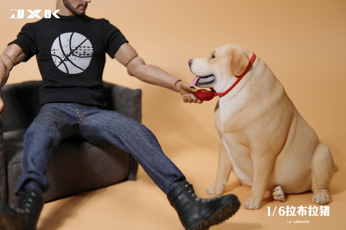 [สั่งจอง]JXK 1/6 : Labrador