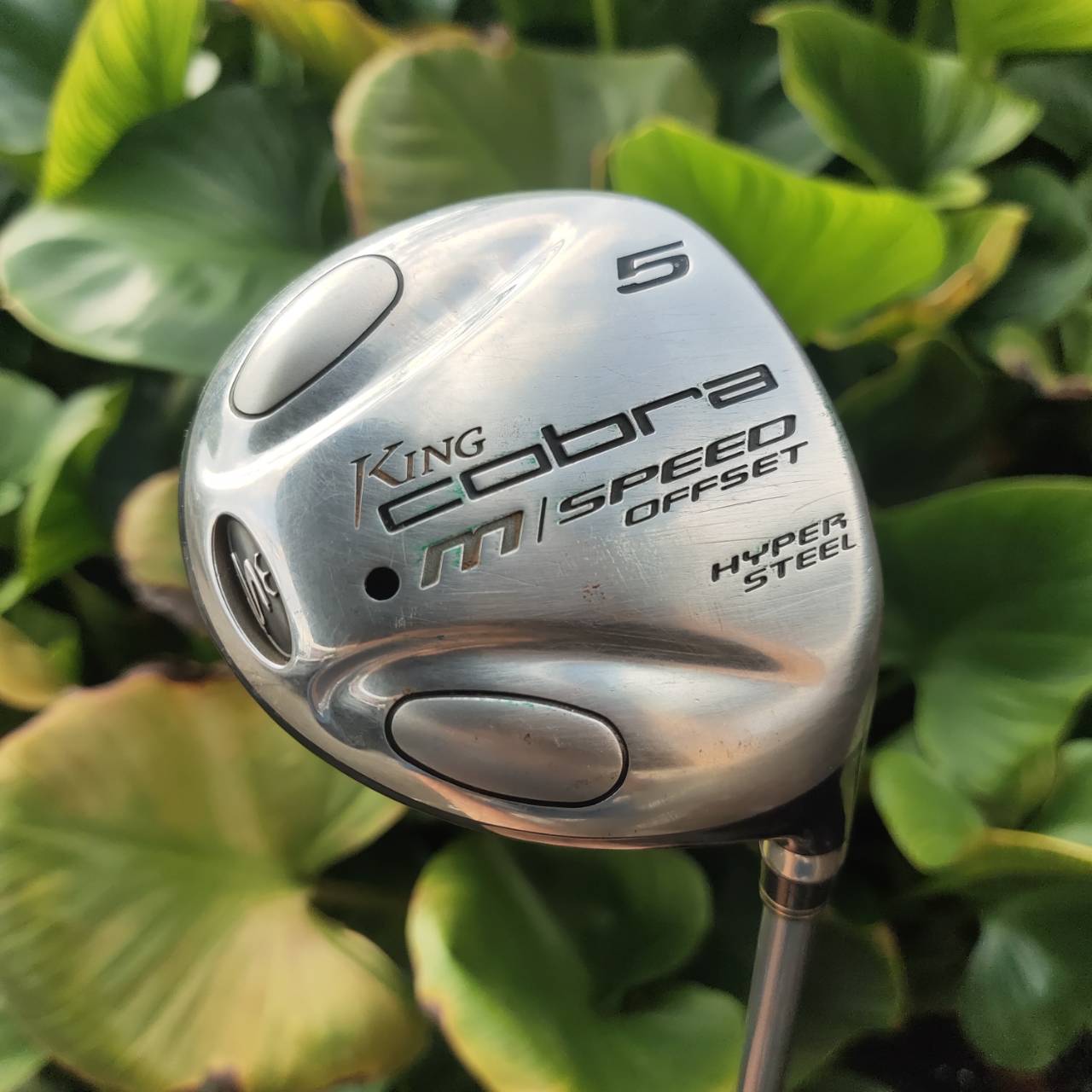 ไม้กอล์ฟผู้หญิง 5W - KING COBRA M/SPEED OFFSET หน้าเด้งมาก กระดองเด้งด้วย