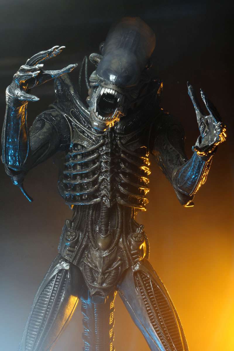 [สั่งจอง] Neca : Alien [Reissue]