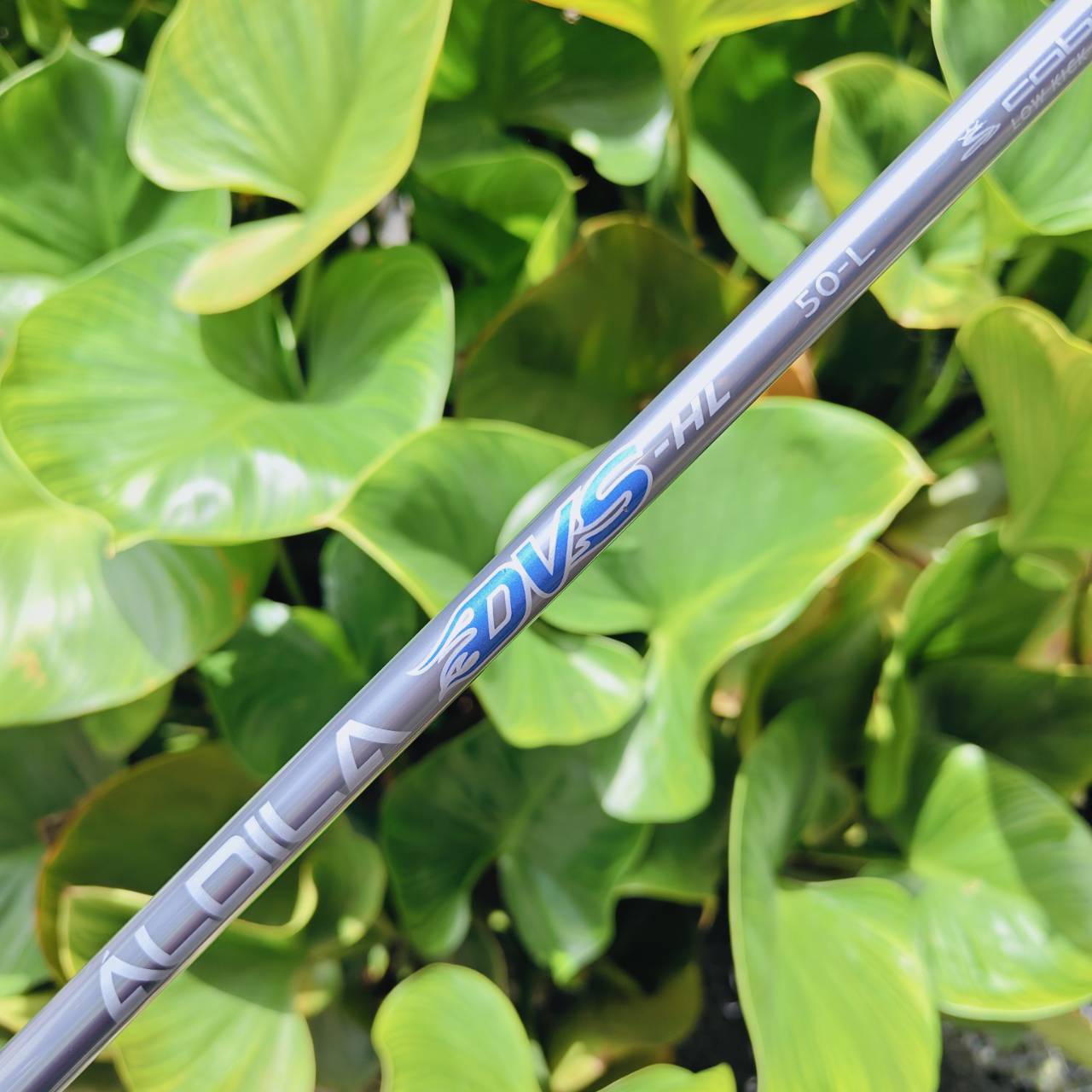 ผู้หญิง U3 KING COBRA BAFFLER TWS ไฮบริดในตำนานที่ขึ้นชื่อว่า “ตีง่ายที่สุด” จาก KING COBRA