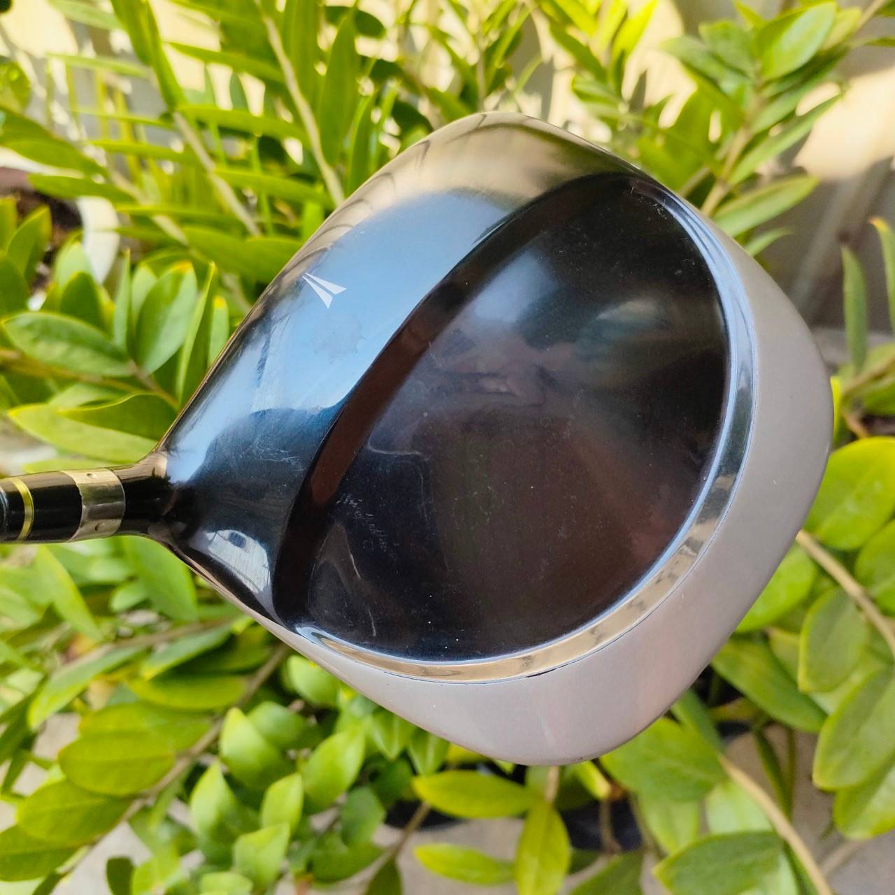 DRIVER NIKE SQ SUMO องศา 10.5 ก้าน DIAMANA SASQUATCH FLEX R หัวทรงสี่เหลี่ยม HiGH M.O.I. ตีง่ายสุดๆ ไม้กอล์ฟพรีเมี่ยมมือสอง ของแท้ By NakaraLuxurious