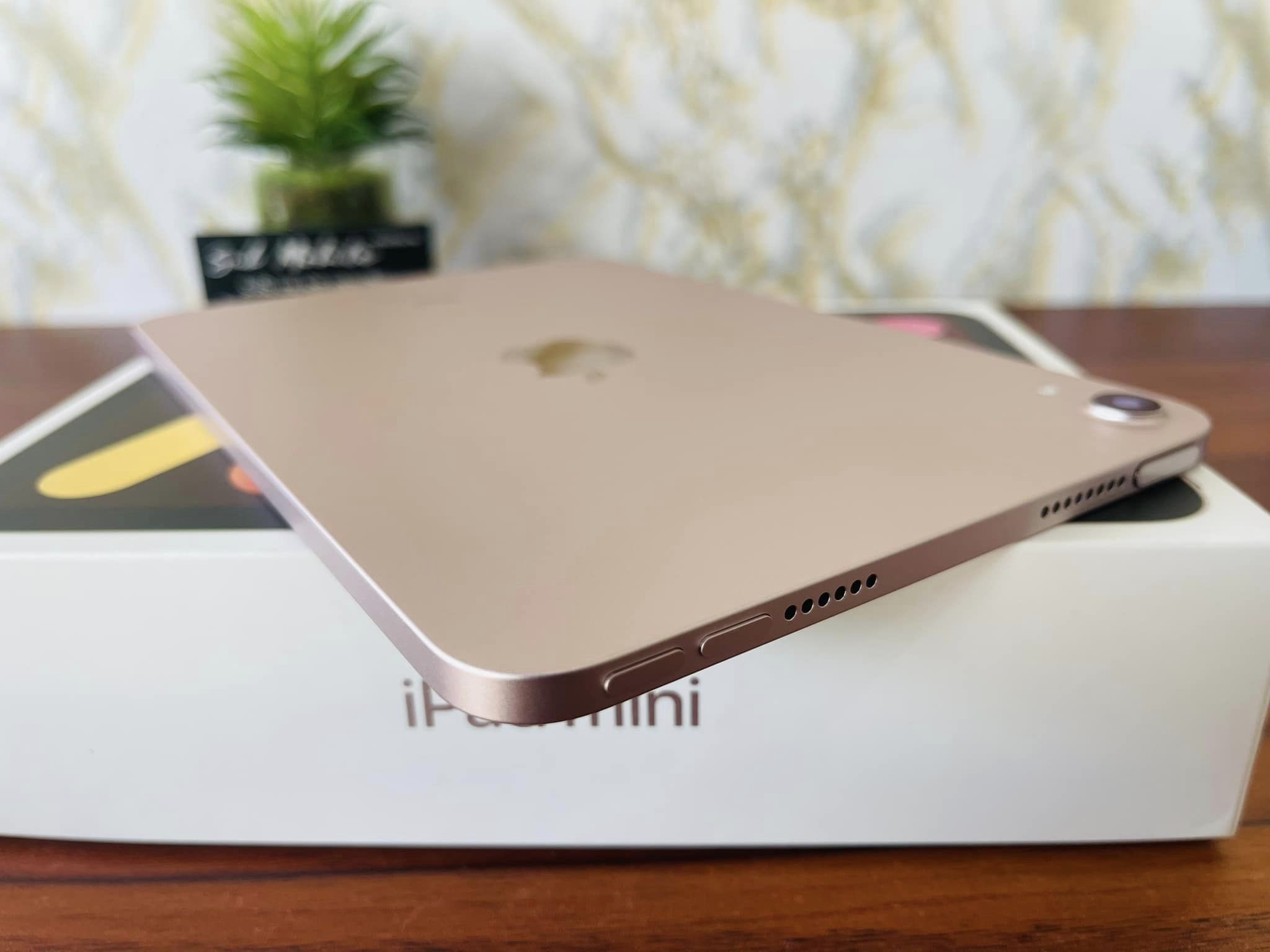 iPad Mini 6 Pink 256GB WiFi มือสอง