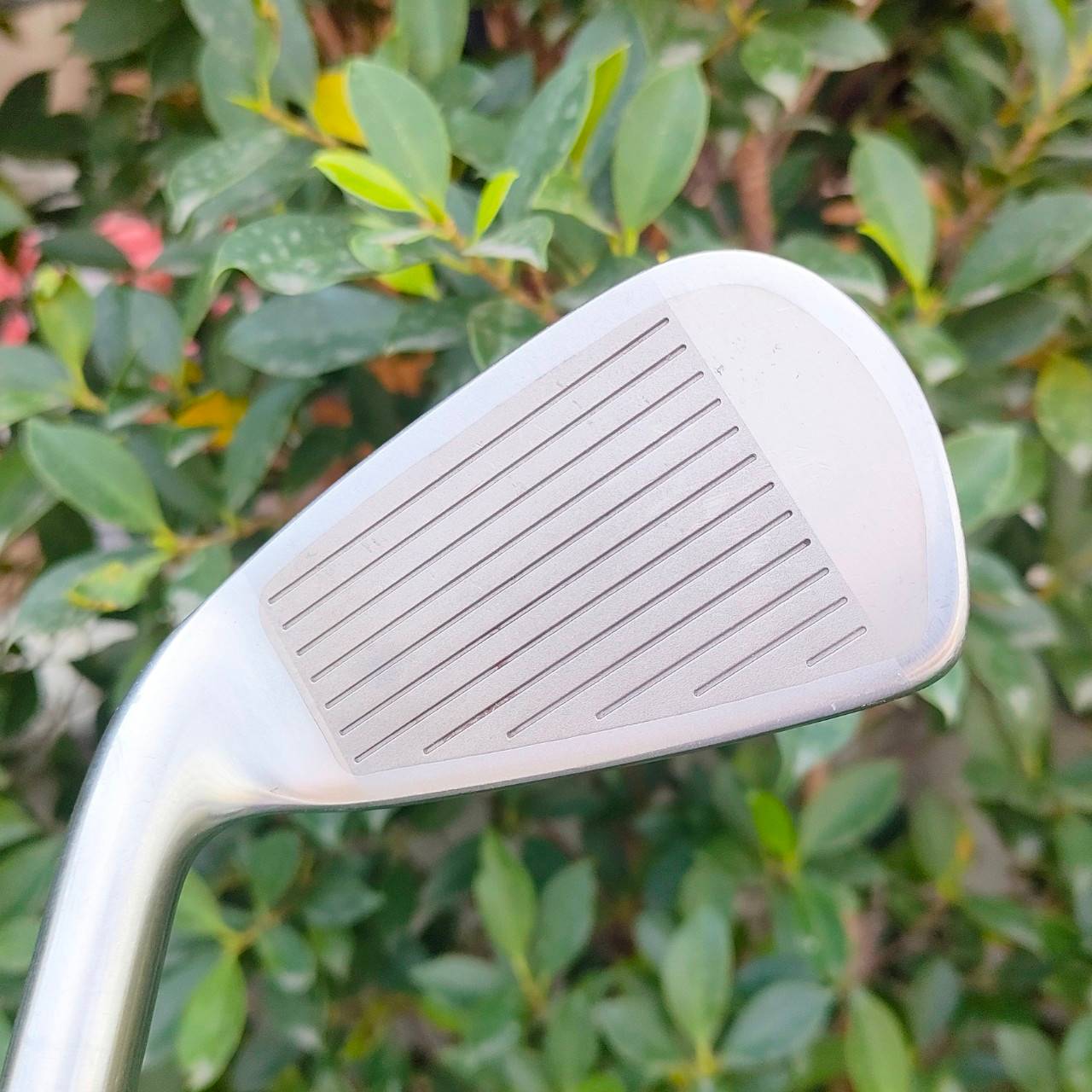 ** ไม้กอล์ฟสำหรับผู้หญิง ** ชุดเหล็ก MARUMAN TITUSV1 มีเหล็ก 5-9 เเละ PW SW