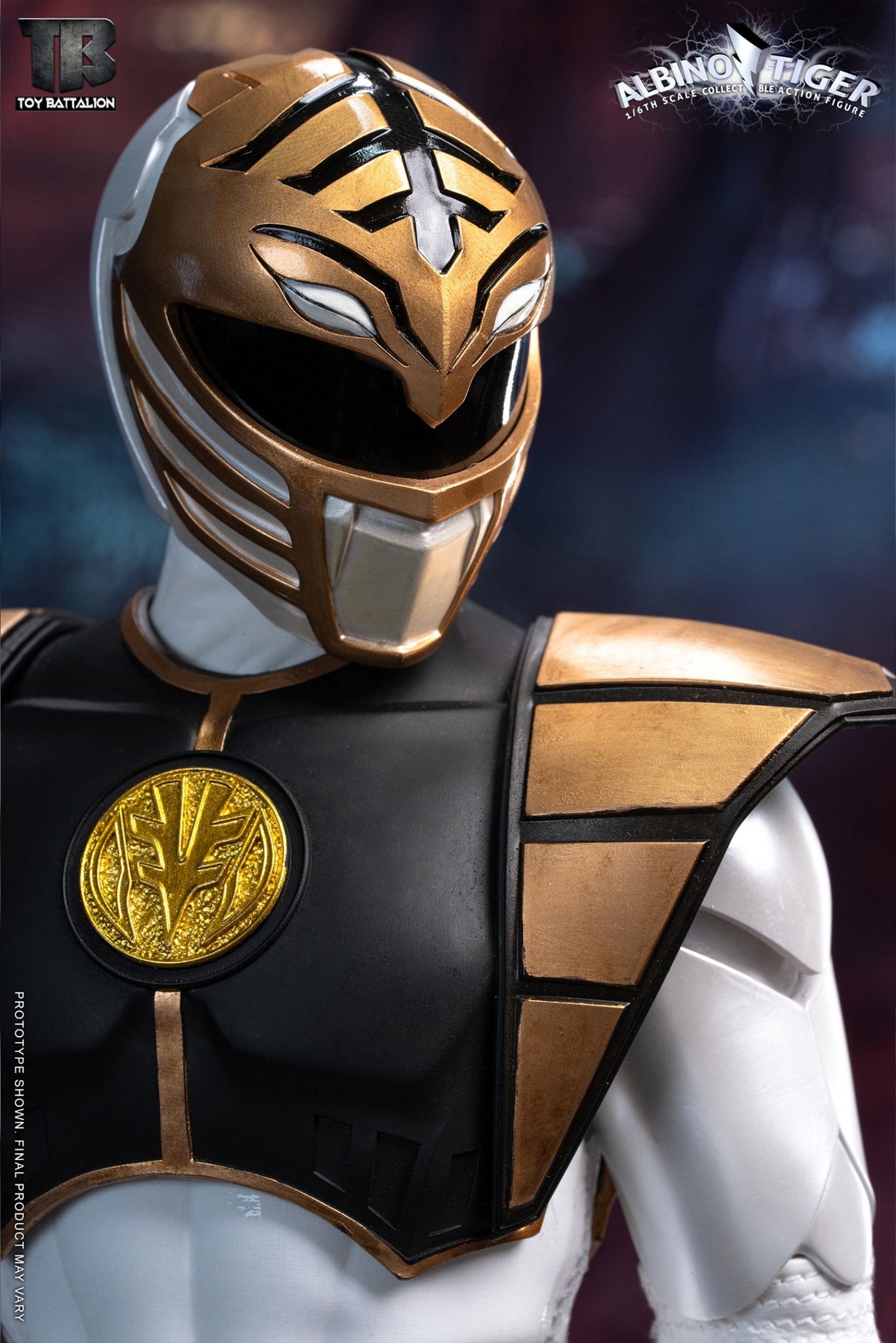 [สั่งจอง] TOYS BATTALION 1/6