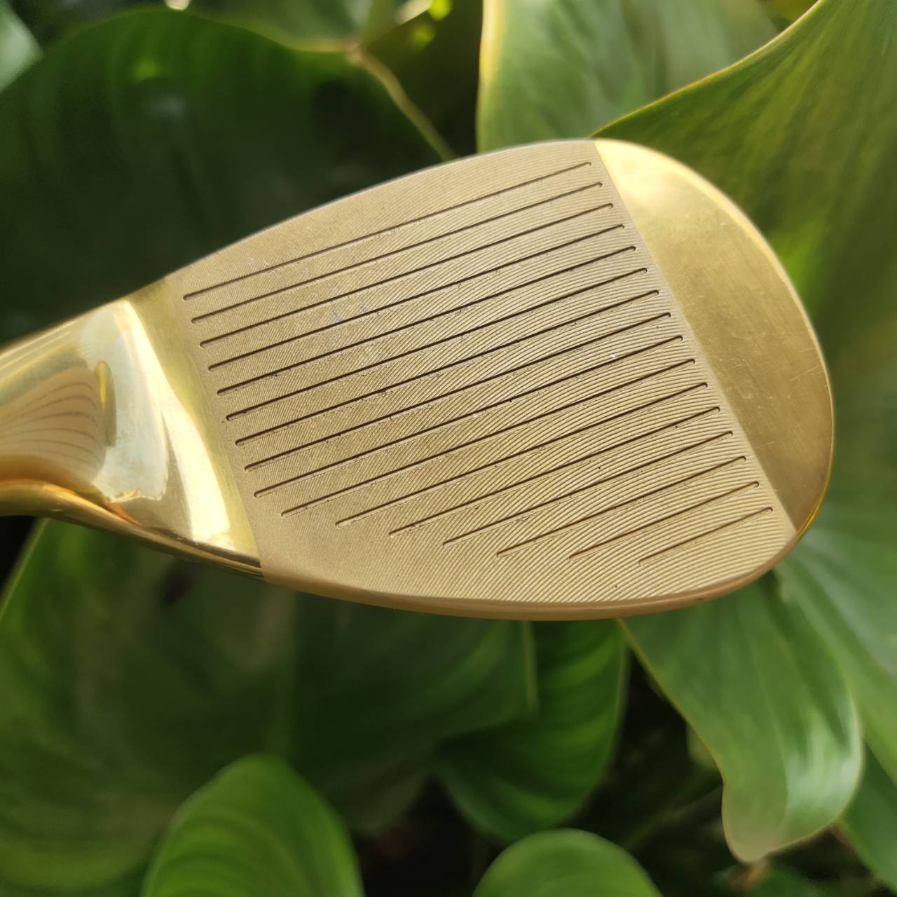 WEDGE EXCEED GOLD หน้าตะไบ องศา 56 ตกหยุดถอยๆ โหดมาก!!! วัสดุพรีเมี่ยม สีทอง สวยงามและหรูหรามาก!!!