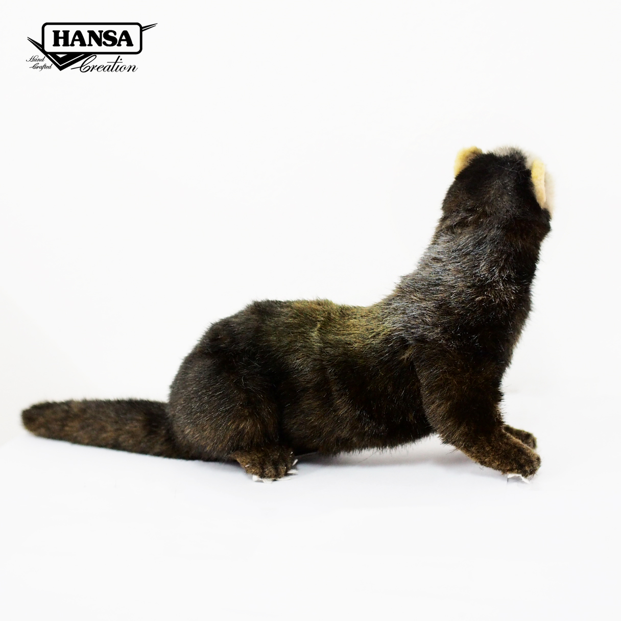 7827 European Polecat 41 cm. L