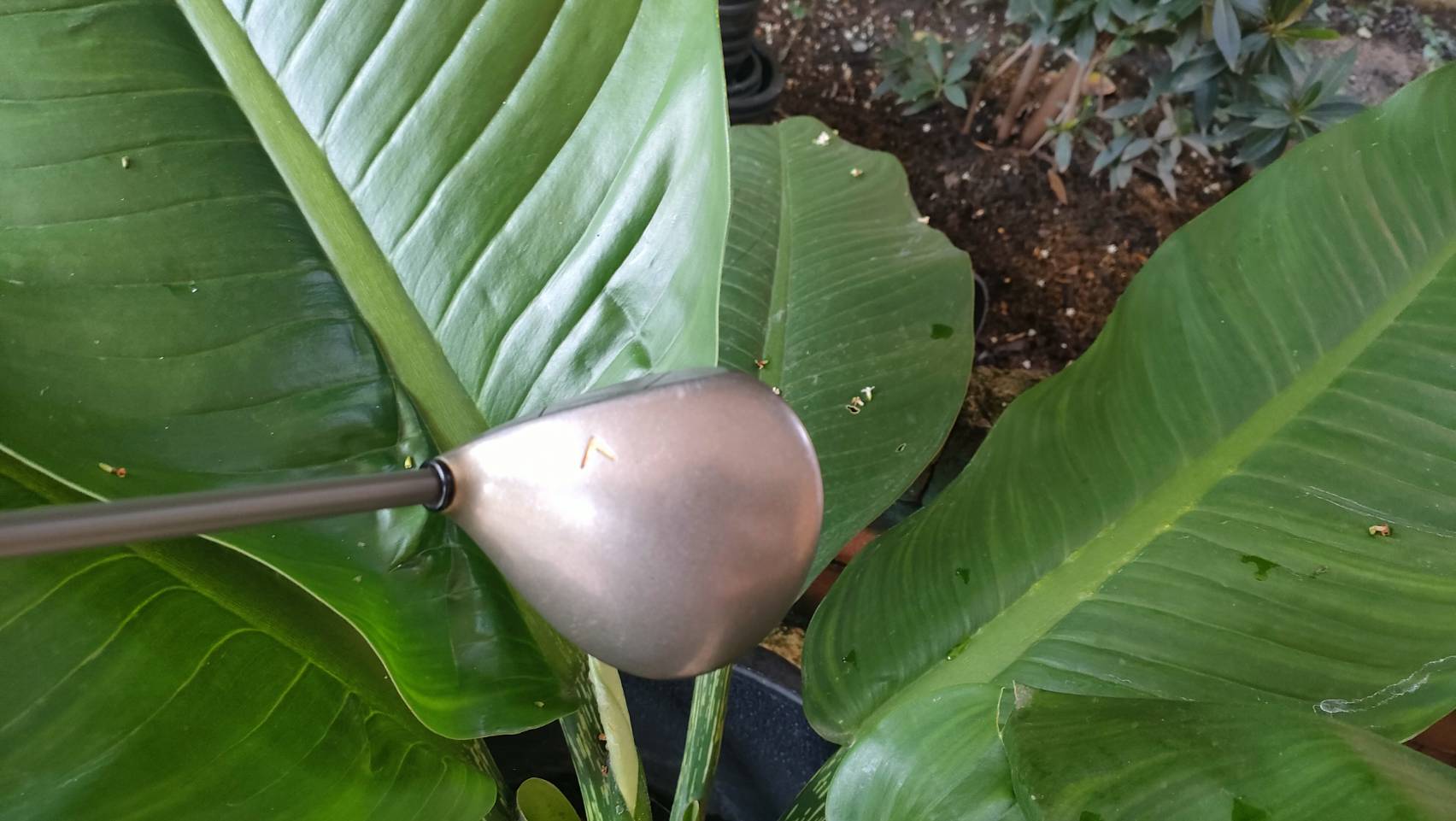 FAIRWAY 4 CALLAWAY BIG BERTHA WAR BIRD