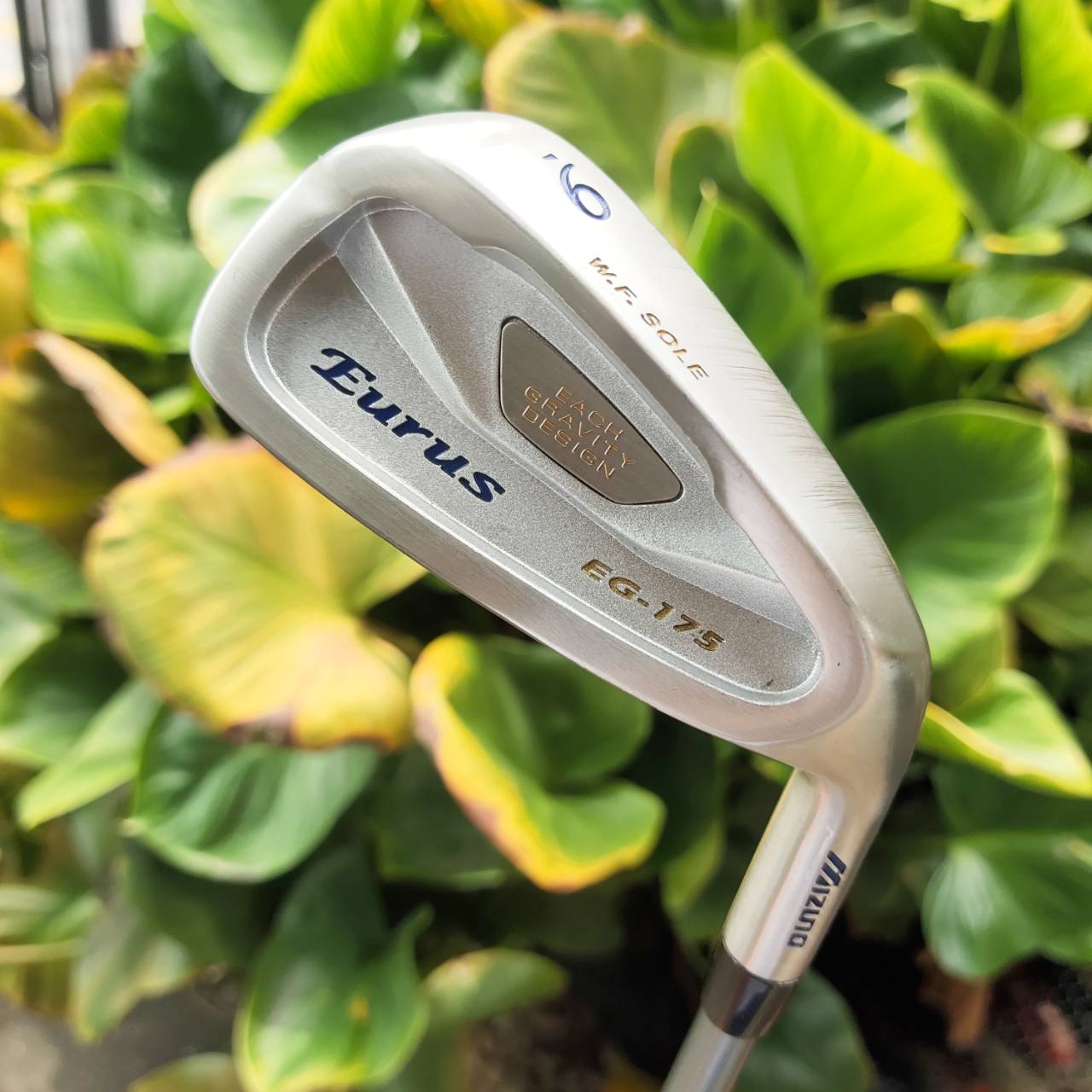 ชุดเหล็กสำหรับคุณผู้หญิง! MIZUNO EURUS EG-175 Lady ตัวช่วยเยอะมาก ตีง่าย สายญี่ปุ่นแท้ๆ