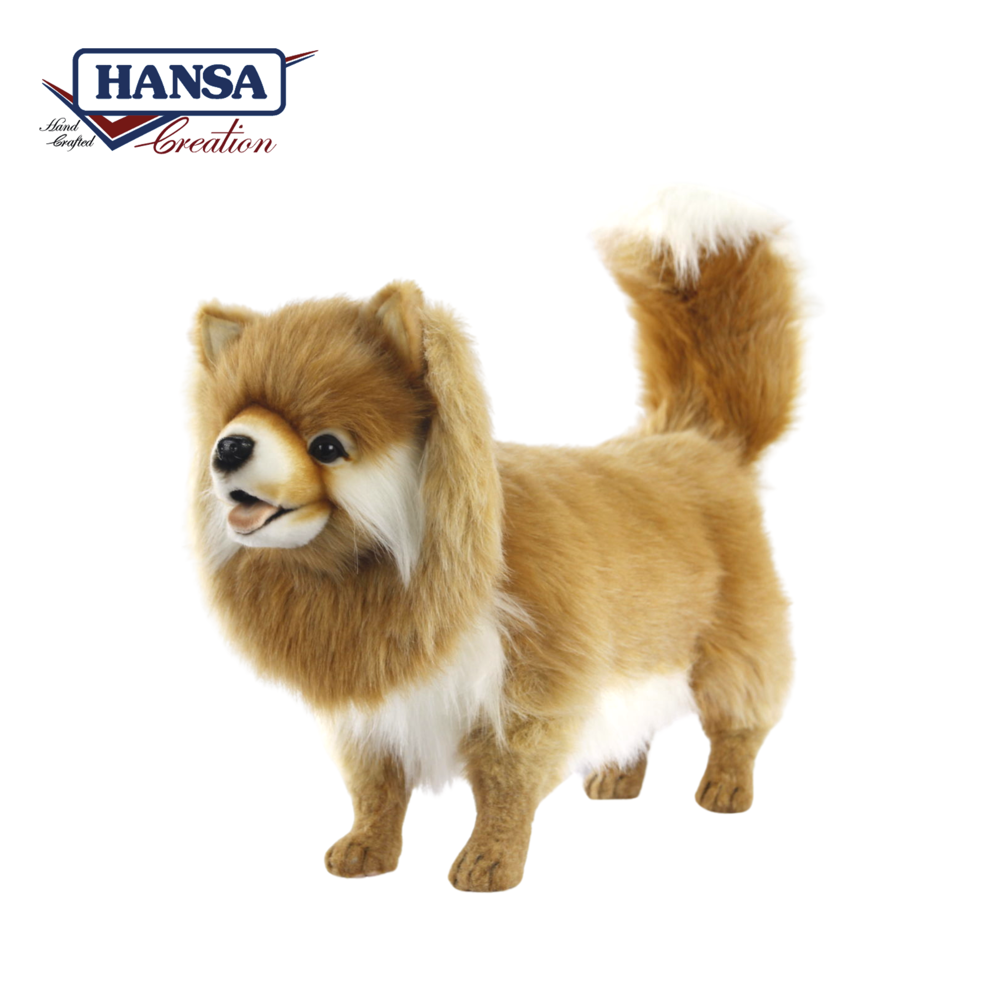 7541 Pomeranian Dog Standing 65cm.L