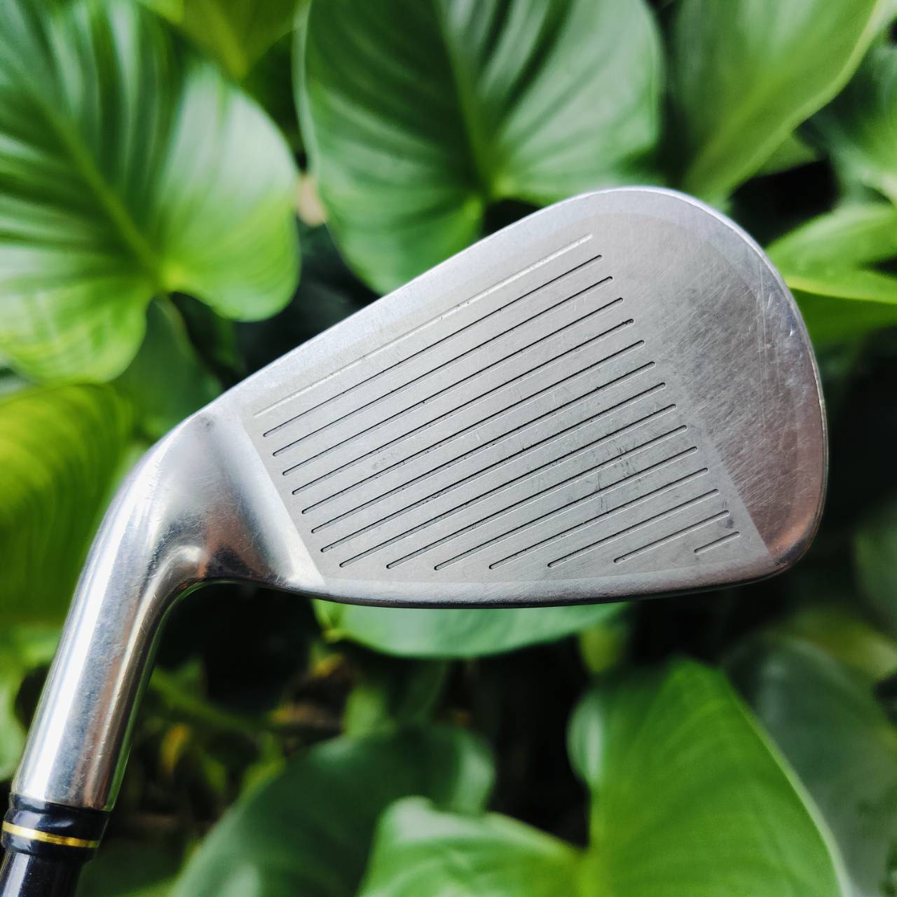 เหล็ก 8 XXIO หน้าเด้ง!!! IMPACT POWER BODY ก้าน MP300 FLEX R ตีไกลมากกว่าเหล็กทั่วไป และตีง่ายมาก CAVITY ลึก วัสดุพรีเมี่ยมญี่ปุ่น ฟีลลิ่งดีมาก ไม้กอล์ฟพรีเมี่ยมมือสอง ของแท้ By NakaraLuxurious