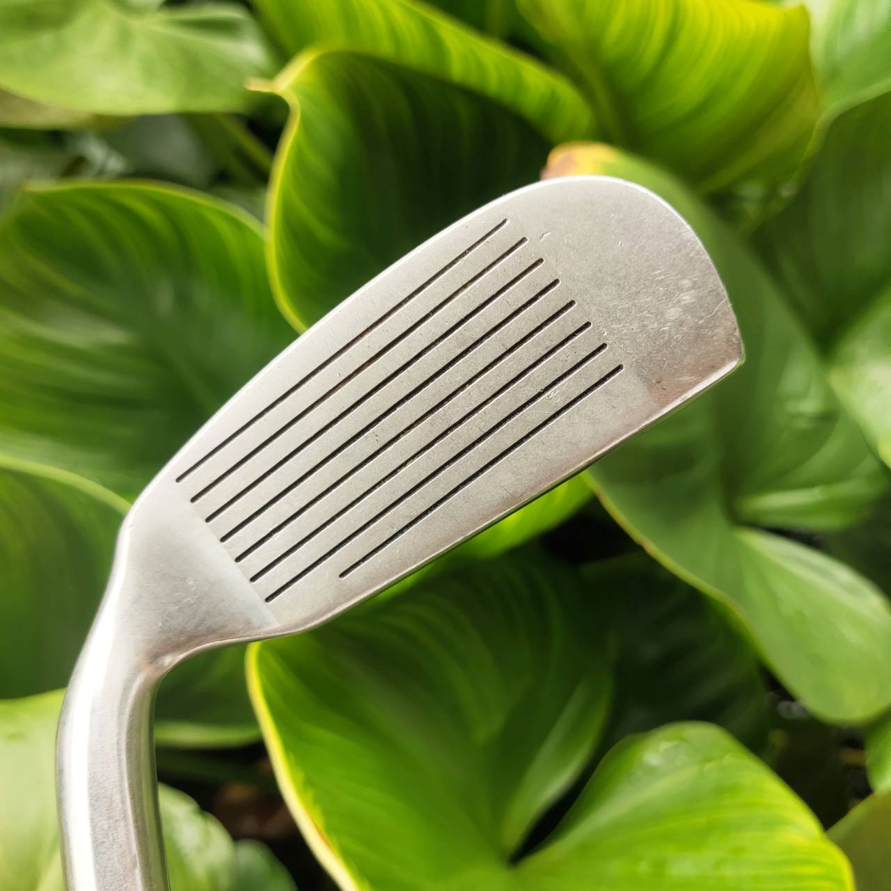 CHIPPER JIGGER ตัวดังใจตำนาน APPROACH MACHINE ขึ้นกรีนง่ายดาย เล็งไลน์ ชิพแอนด์รันแม่นๆ มีลุ้น