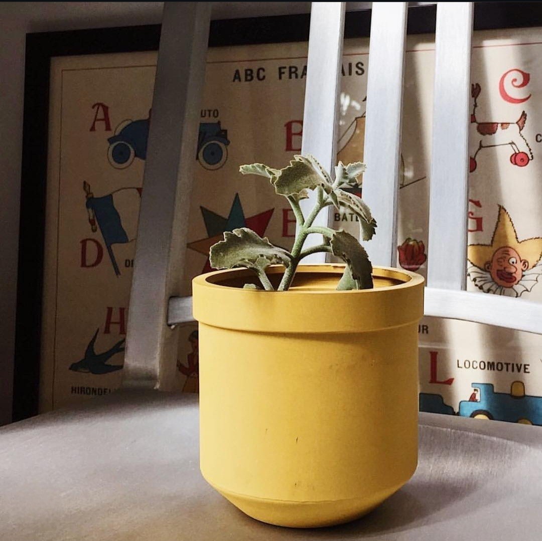 Rubber Pot I กระถางต้นไม้-กระถางใส่ของยางซิลิโคน