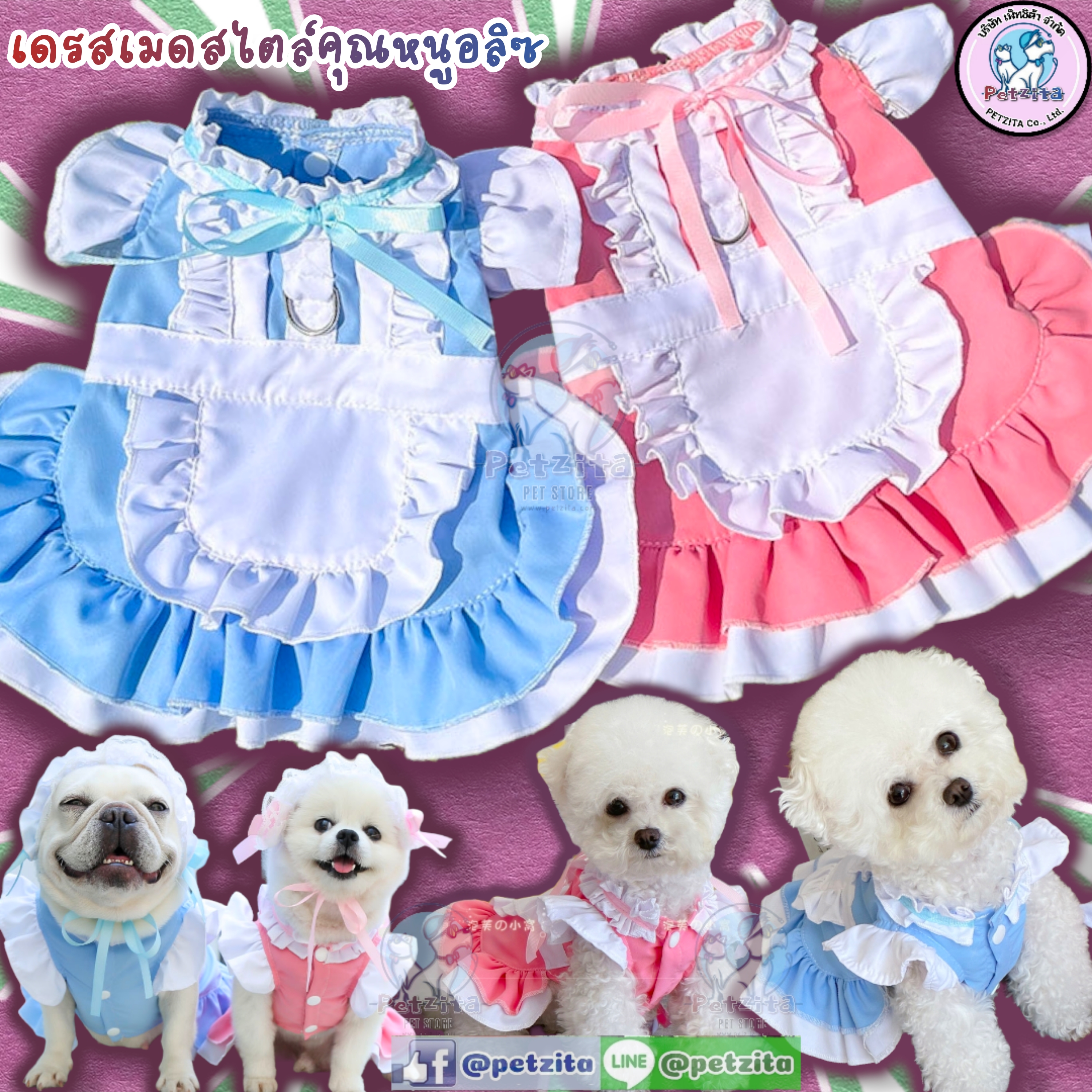 🇹🇭พร้อมส่ง🇹🇭👗👰💗เดรสเมดสไตล์สาวน้อยอลิซในดินแดนมหัศจรรย์ 💗 คาวาอิ น่ารักมากๆจ้า for pet เสื้อสุนัข ชุดหมา ชุดแมว