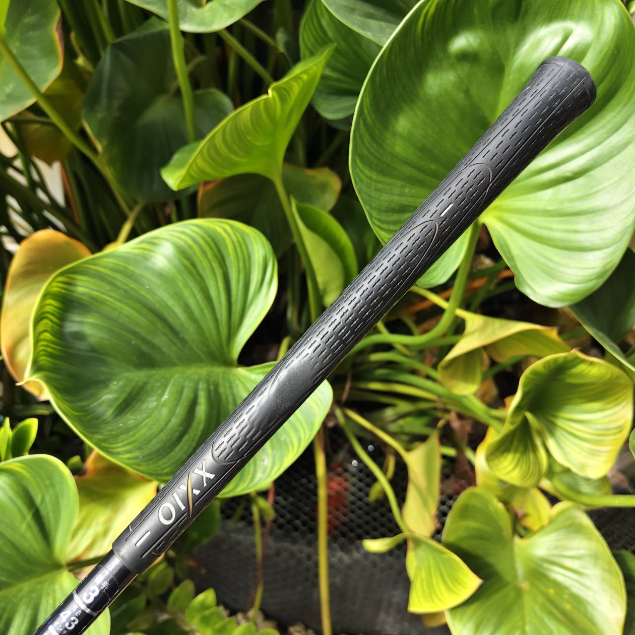 3W XXIO “เบา ตีลอยง่าย ระยะมาแบบสบายๆ” เหมาะสุดสำหรับคนที่อยากเพิ่มความมั่นใจตอนตีจากแฟร์เวย์!