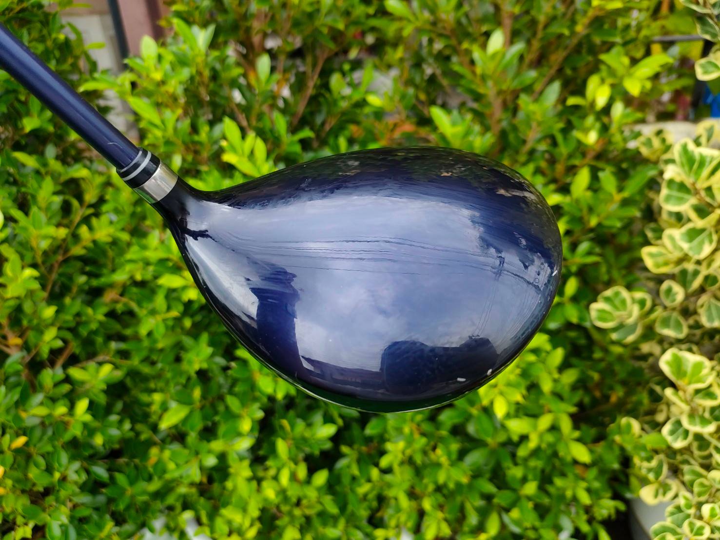 Driver WILSON AVIATOR