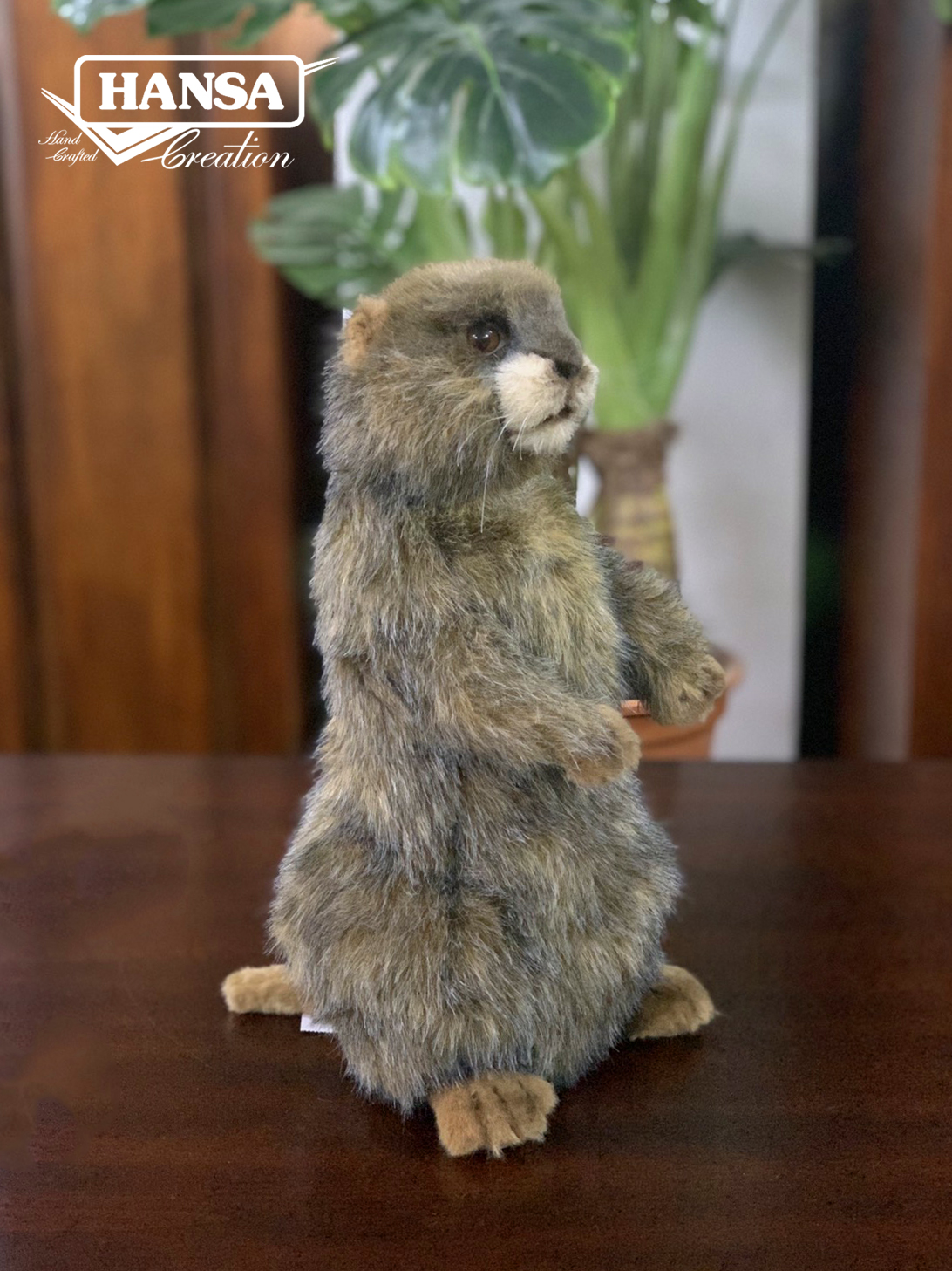 8101 Alpine Marmot 29cm.H