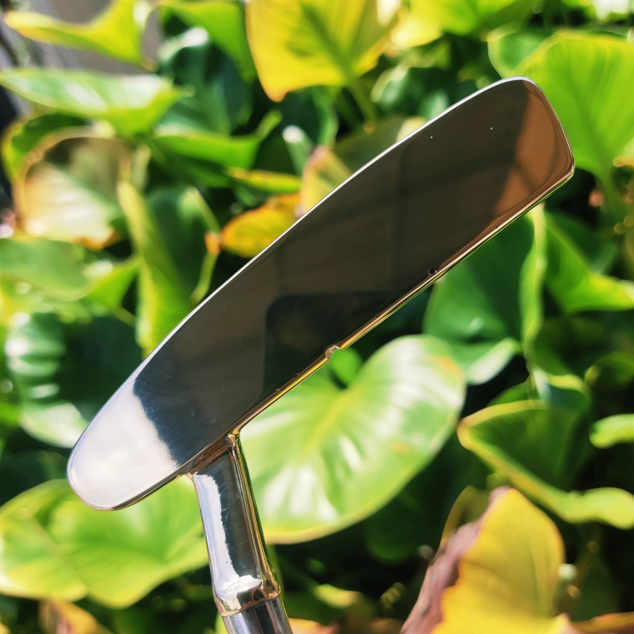 Putter PING ZING ทองเหลือง (Brass) ให้ฟีลลิ่งนุ่ม และเสียงตีชัดเจน