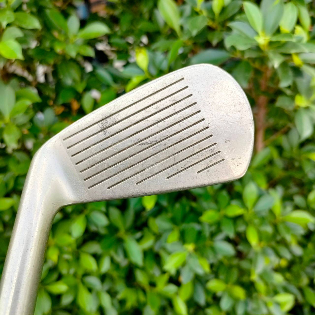เหล็ก 4 TAYLORMADE V721 ก้าน DYNAMIC GOLD S300 แบรนด์ดี ก้านดีครับ