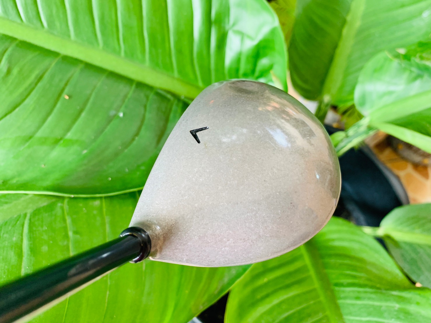 DRIVER BIG BIRD STEEL WOOD