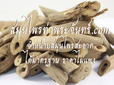 เถารางจืดแห้ง ( 500กรัม - 1กิโล ) / ( 500g - 1kg ) สมุนไพรท่าพระจันทร์