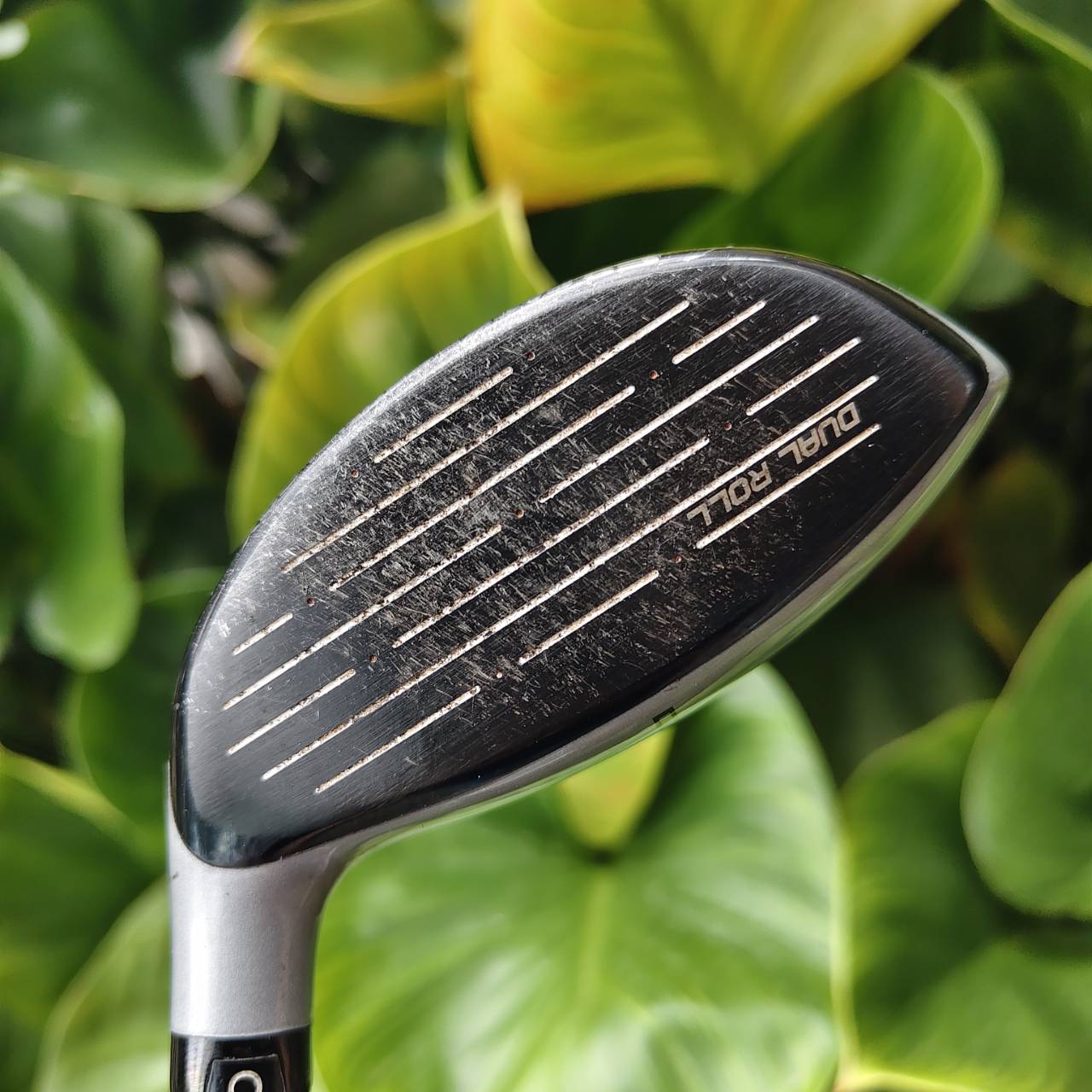 5W COBRA AMP แฟร์เวย์วูดตัวแรง E9 Face Technology – เพิ่มความเร็วลูกกอล์ฟแม้ไม่โดนกลางหน้าไม้