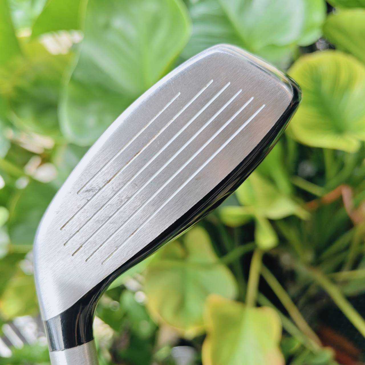 TAYLORMADE RESCUE HYBRID #3 (19°) ก้าน RE*AX FLEX R