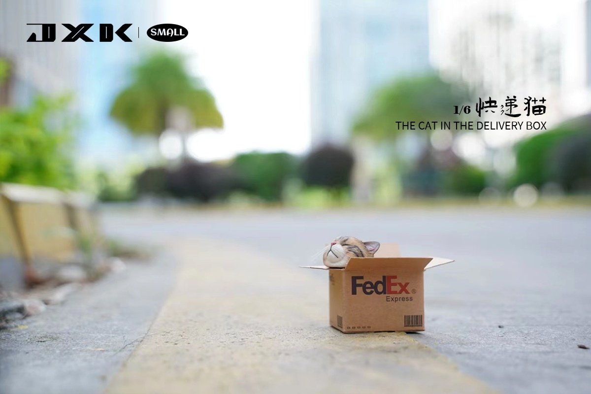 [สั่งจอง]JXK small JS2213 1/6 : The Cat In The Delivery Box
