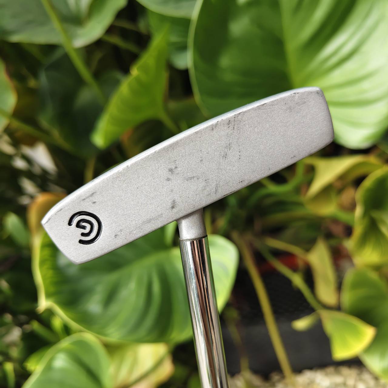 PUTTER CLEVELAND CGJ (ของเด็ก) – ทรง Mallet / ก้าน CENTER / ความยาว 31 นิ้ว
