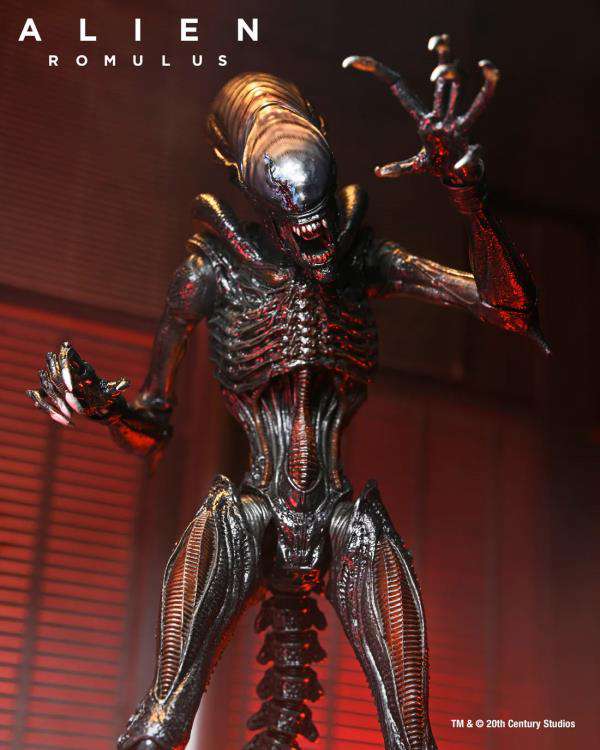 [สั่งจอง] Neca : Alien - Romulus