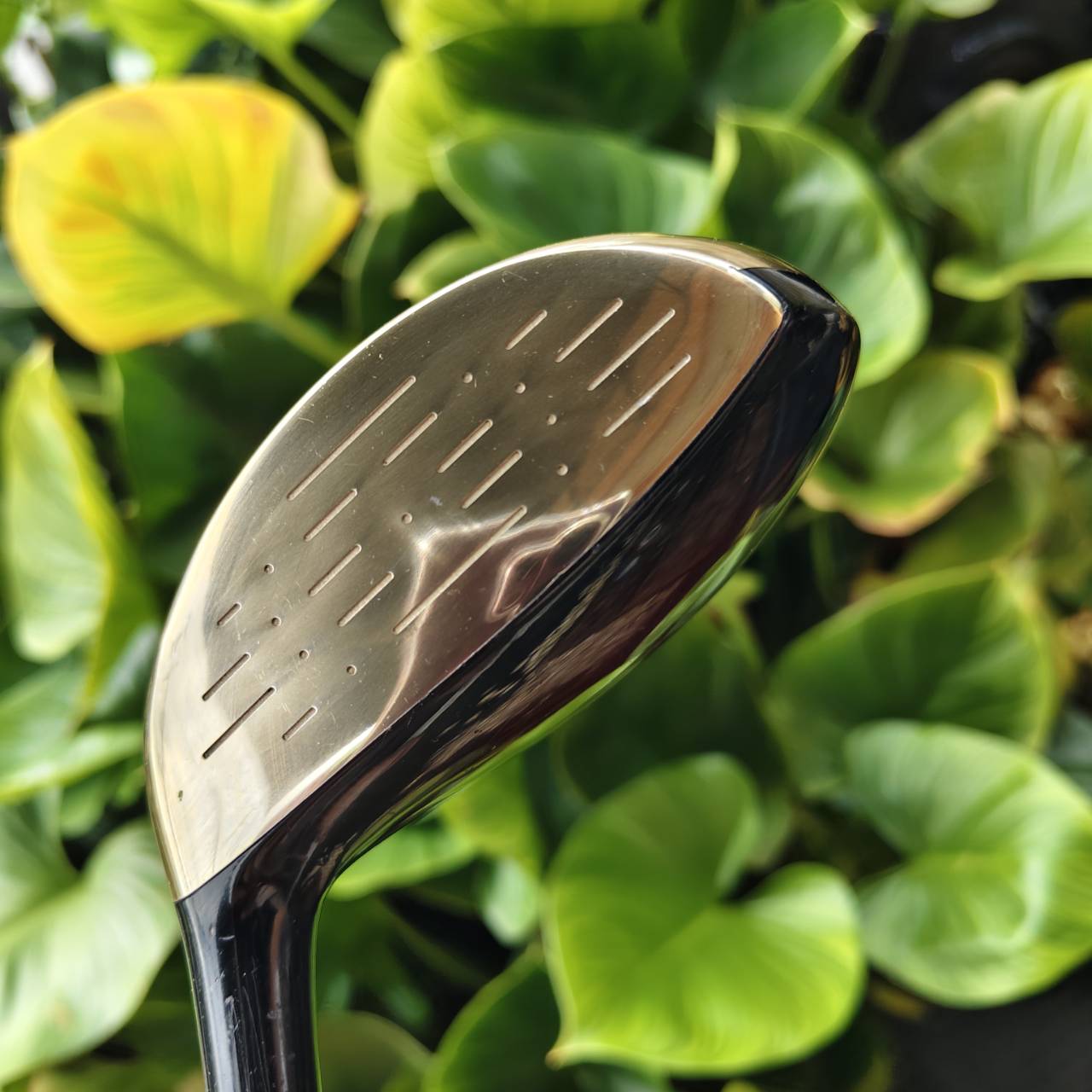 4W MARUMAN MAJESTY POWER – SB SOLE ตีไกลแบบขีดสุด หน้าเด้งมาก Sole แบบพิเศษ สไลด์ผ่านพื้นได้ดี