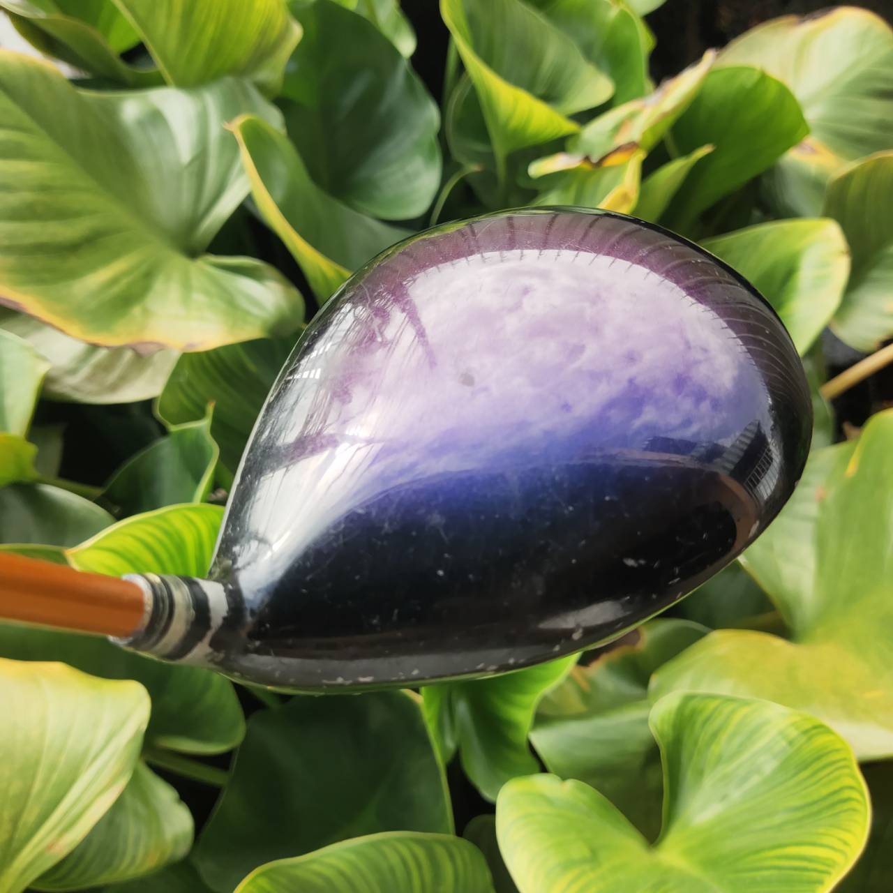 DRIVER XXIO 8 รุ่นเหลี่ยมเพชร รุ่นนี้ตีดีสุดๆ XXIO เป็นหัวไม้ที่ติดรางวัล อันดับ 1 ในญี่ปุ่น