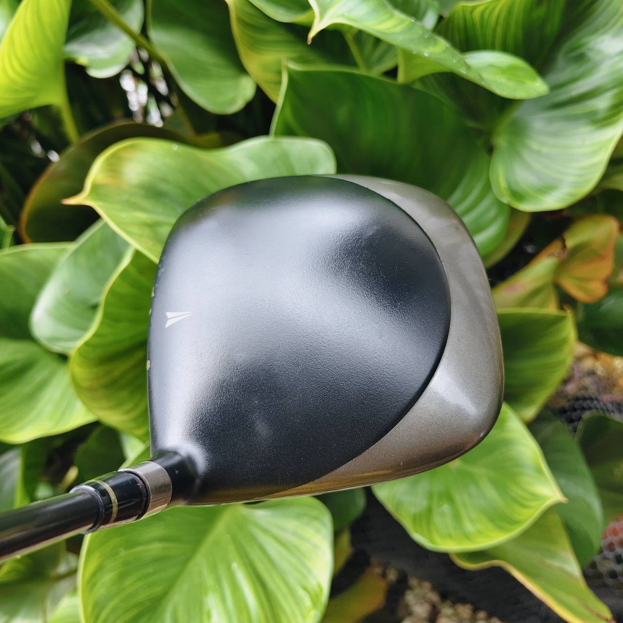 Driver NIKE SQ – ค่า M.O.I. 5900 สูงที่สุด! ตีตรงเป็นท่อ ตียังไงก็ตรง ตีเลี้ยวไม่ได้