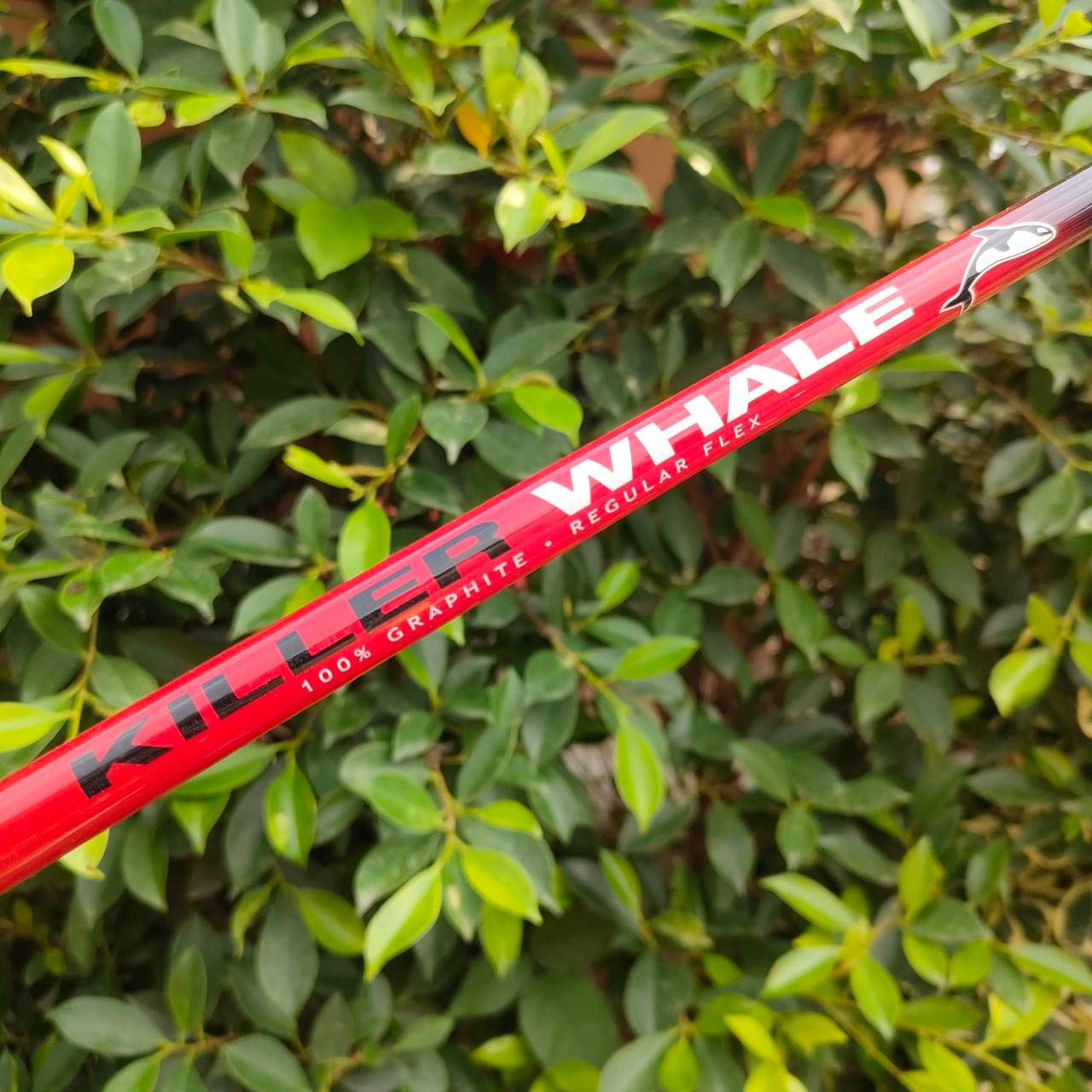 FULLSET WILSON KILLER WHALE ทั้งชุดประกอบด้วย หัวไม้ 1 3 5 ก้าน KILLER WHALE FLEX R ชุดเหล็ก 3-9 เเละ PW SW PUTTER WILSON พร้อมถุงกอล์ฟ WILSON เดิมๆทั้งชุด ครบเลยครับ พร้อมออกรอบได้เลยครับ ไม่ต้องซื้ออะไรเพิ่มแล้ว