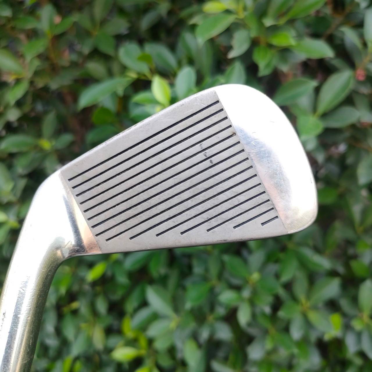 ชุดเหล็ก HALB LRWIN REGARD มีเหล็ก 3-9 เเละ PW SW ก้าน REGARD FLEX R ตีมันส์ ตีดีสุดๆๆครับ