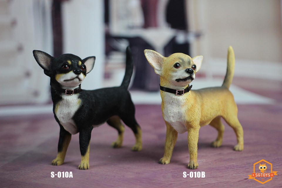 [สั่งจอง]SGTOYS S-010,S-011,S-012 1/6 Animal Model Chihuahua/ Rottweiler/ Springer Spaniel/Shiba Inu