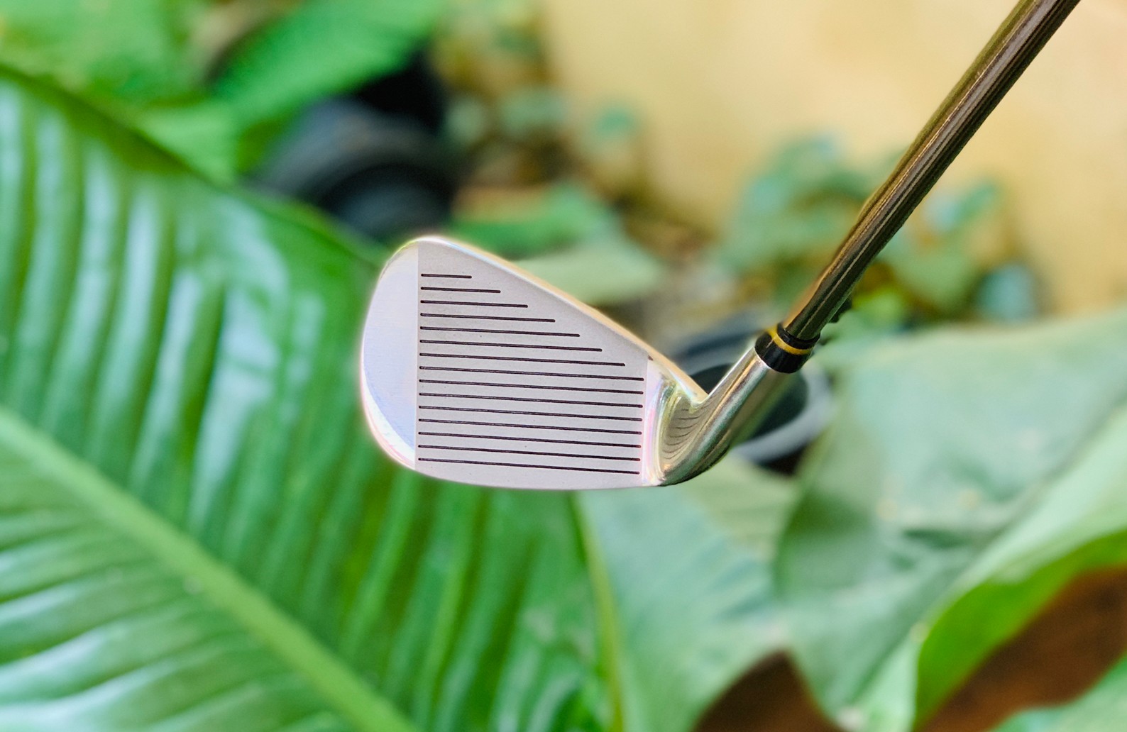 เหล็ก PW T-ZOOM FORGED Z UNDERCUT DESIGN