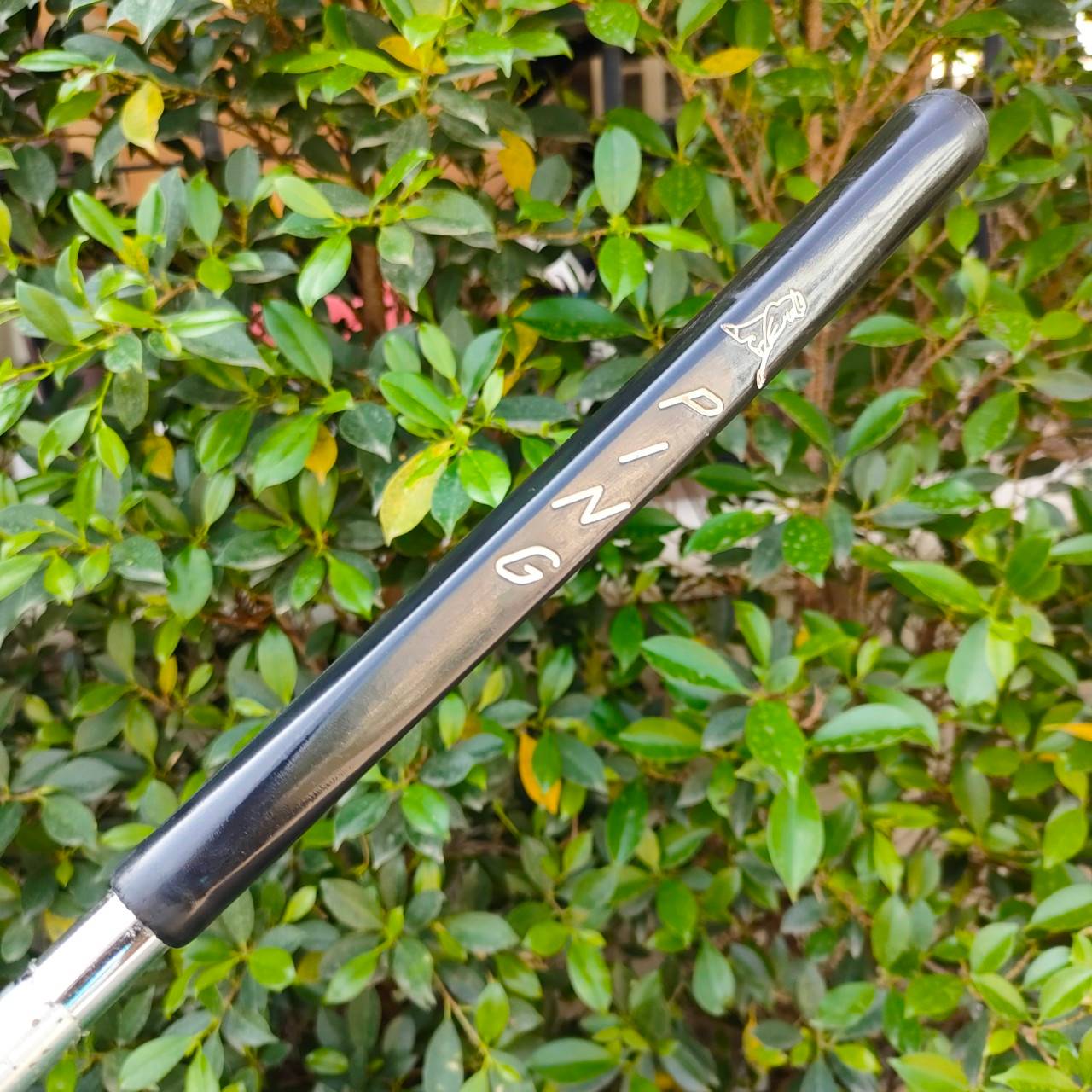 PUTTER YES! C-GROOVE TRACY ความยาว 34 นิ้ว สวยๆพีตต์ดีมากๆ