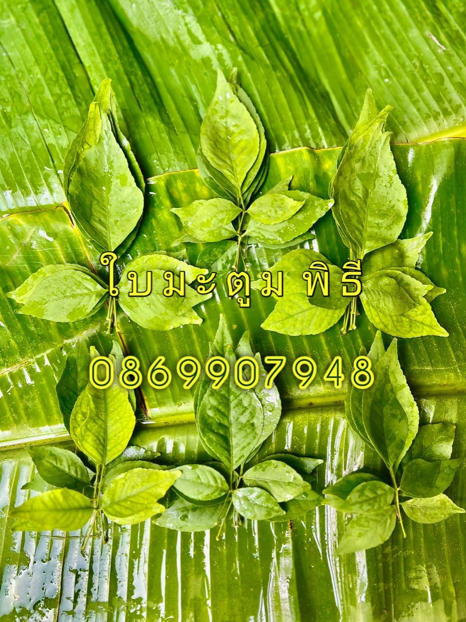 ใบไม้มงคล (พิธี)