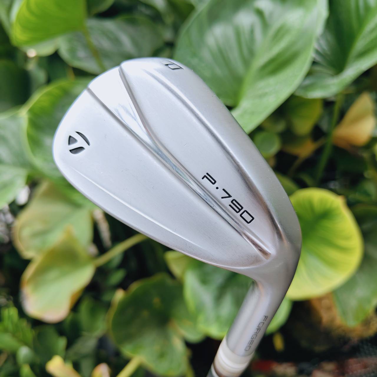 * เหล็ก 8 แตก *⛳ TaylorMade P•790 (2021) Metal Meets Mettle จุดที่โลหะพบกับหัวใจนักสู้ของคุณ
