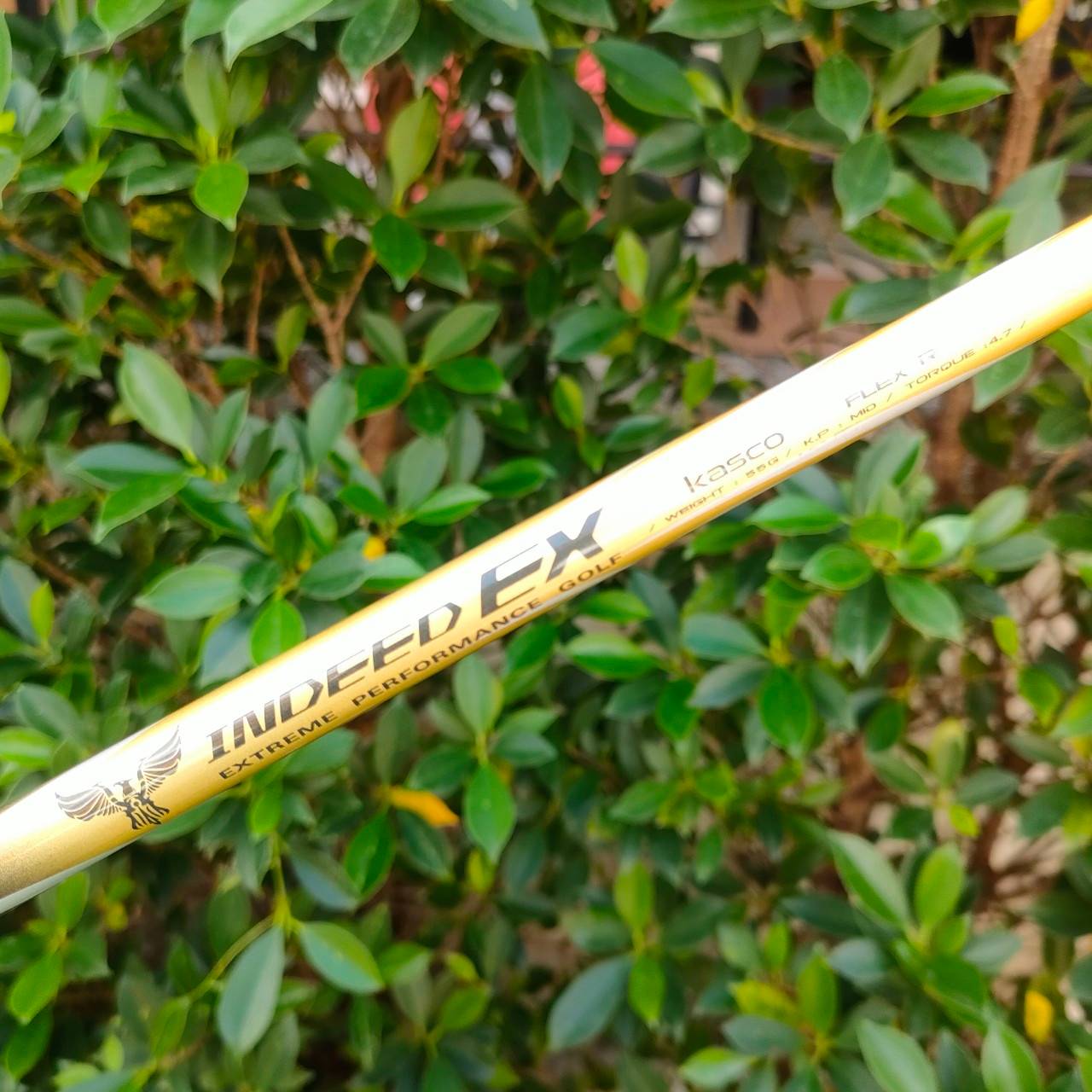 ชุดเหล็ก KASCO INDEED EX มีเหล็ก 5-9 เเละ PW AW SW ก้าน INDEED EX FLEX R ชุดพรีเมี่ยมสูงสุดของ KASCO หน้า MARAGING เด้งสุดขีด