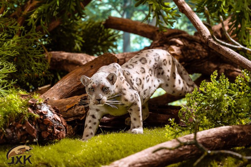 [สั่งจอง] JXK 1/12 The leopard /animal model JxK021