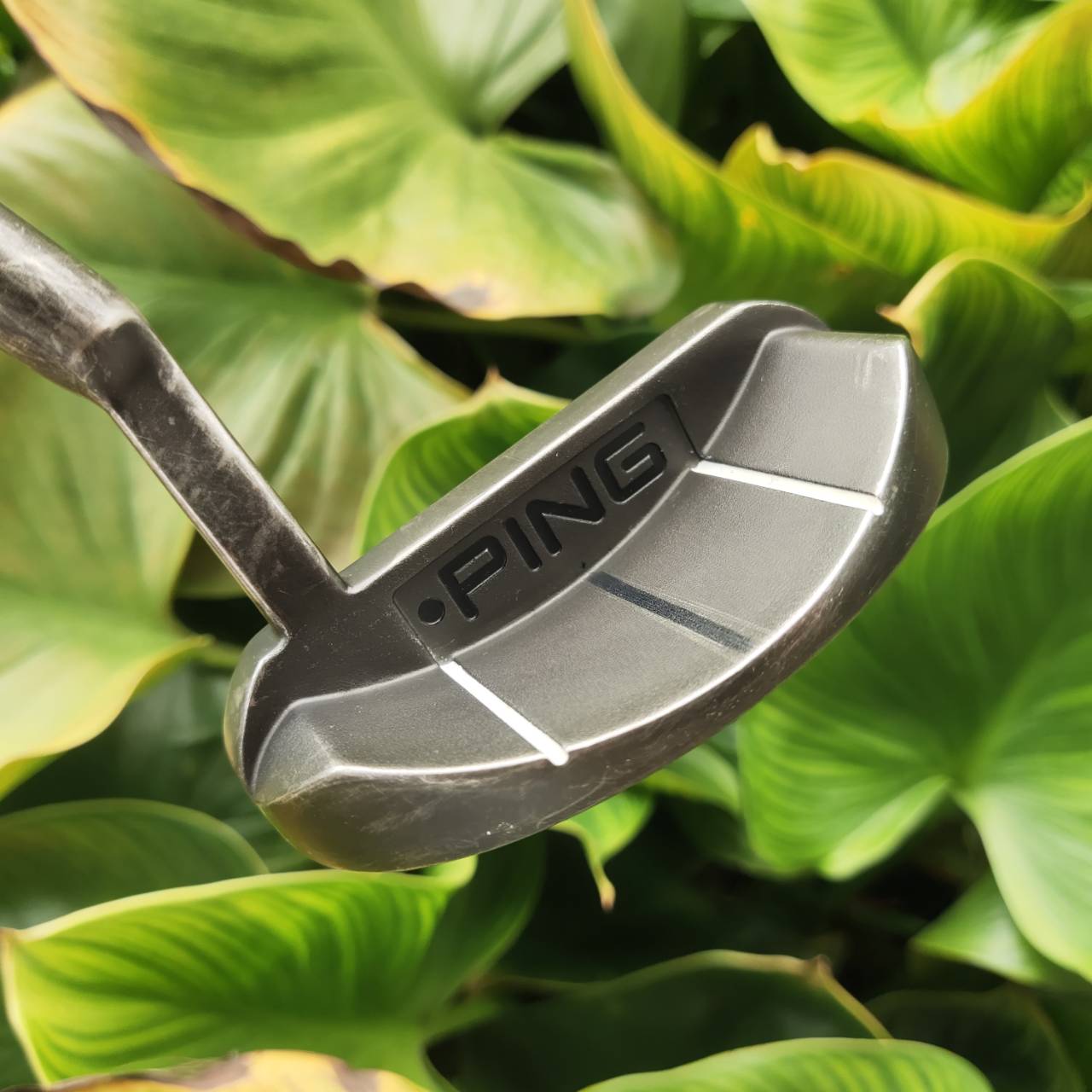 PUTTER PING SIGMA G PIPER3 หน้า PEBAX Insert + TR Face Technology ให้หน้าพัตต์นุ่ม แม่น ระยะคงที่