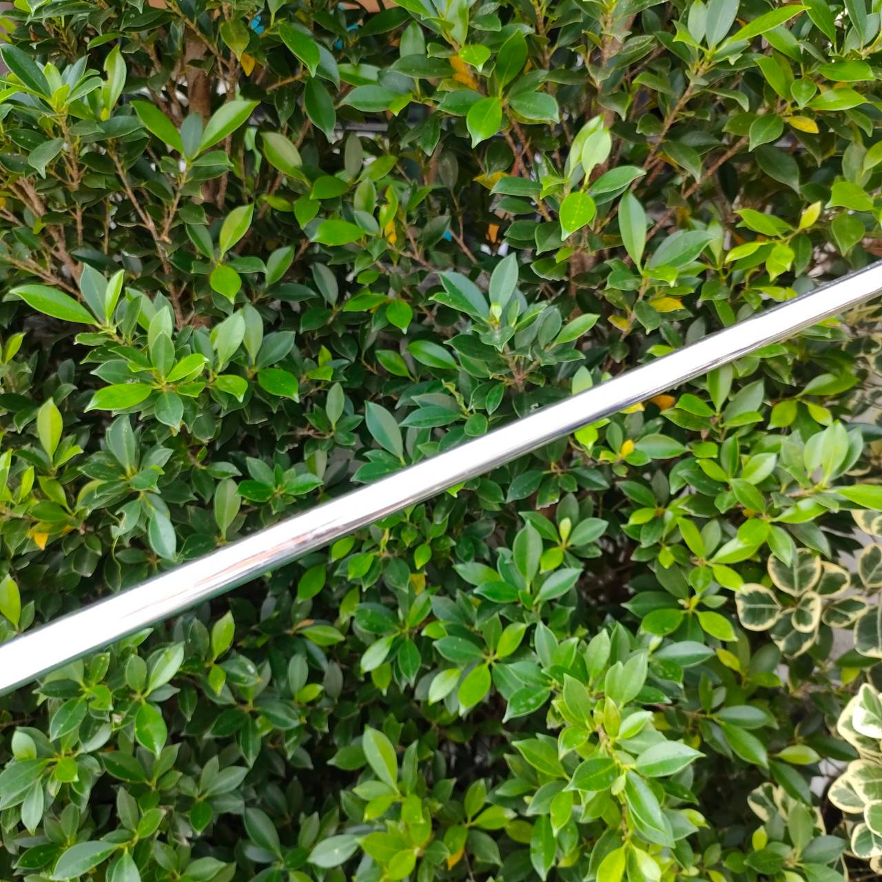 PUTTER ODYSSEY DUAL FORCE ROSSIE II ความยาว 34 นิ้ว หน้าดำ นุ่มหนึบ เกาะไลน์ ทองมอลเล็ต พัตต์ง่าย เล็งง่ายมากๆ