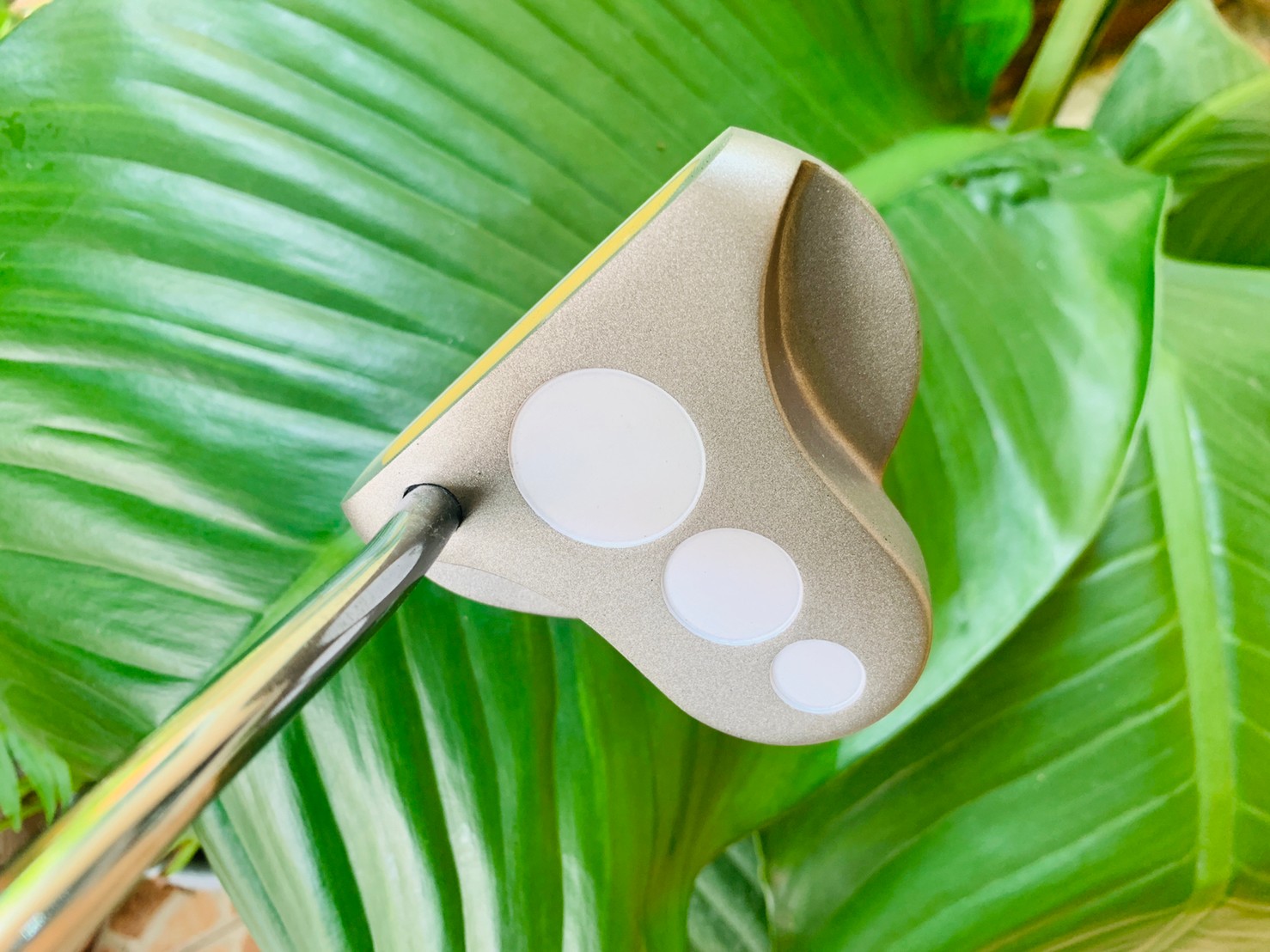 ไม้กอล์ฟครบชุดมือสอง PROKENNEX