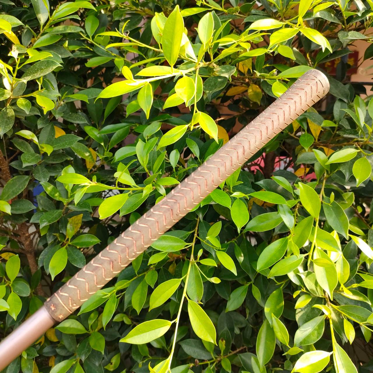 ** ไม้กอล์ฟสำหรับผู้หญิง ** ชุดเหล็ก 956 GL GOLDEN LADDIE มีเหล็ก 3-9 เเละ PW SW ก้าน FRAFLLO FLEX L เหล็กตีง่าย ใบกระจายน้ำหนัก และมีน้ำหนักสวิงเวทกำลังดี แต่น้ำหนักรวมเบา วัสดุดีมากครับ