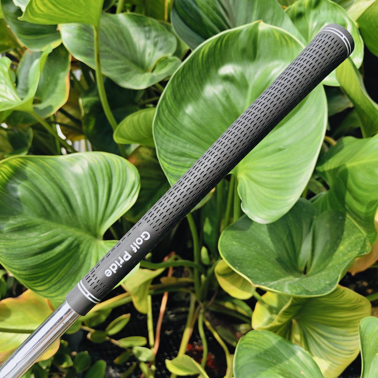 WEDGE PING TOUR-W – 54° | Bounce 10° ความแม่นยำรอบกรีนที่คุณต้องลอง!