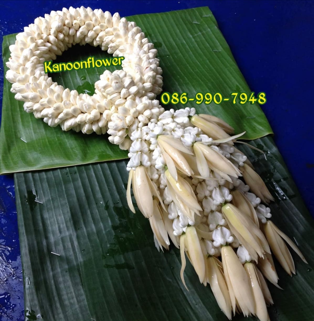 พวงมาลัยจำปี (ทรงเครื่อง)