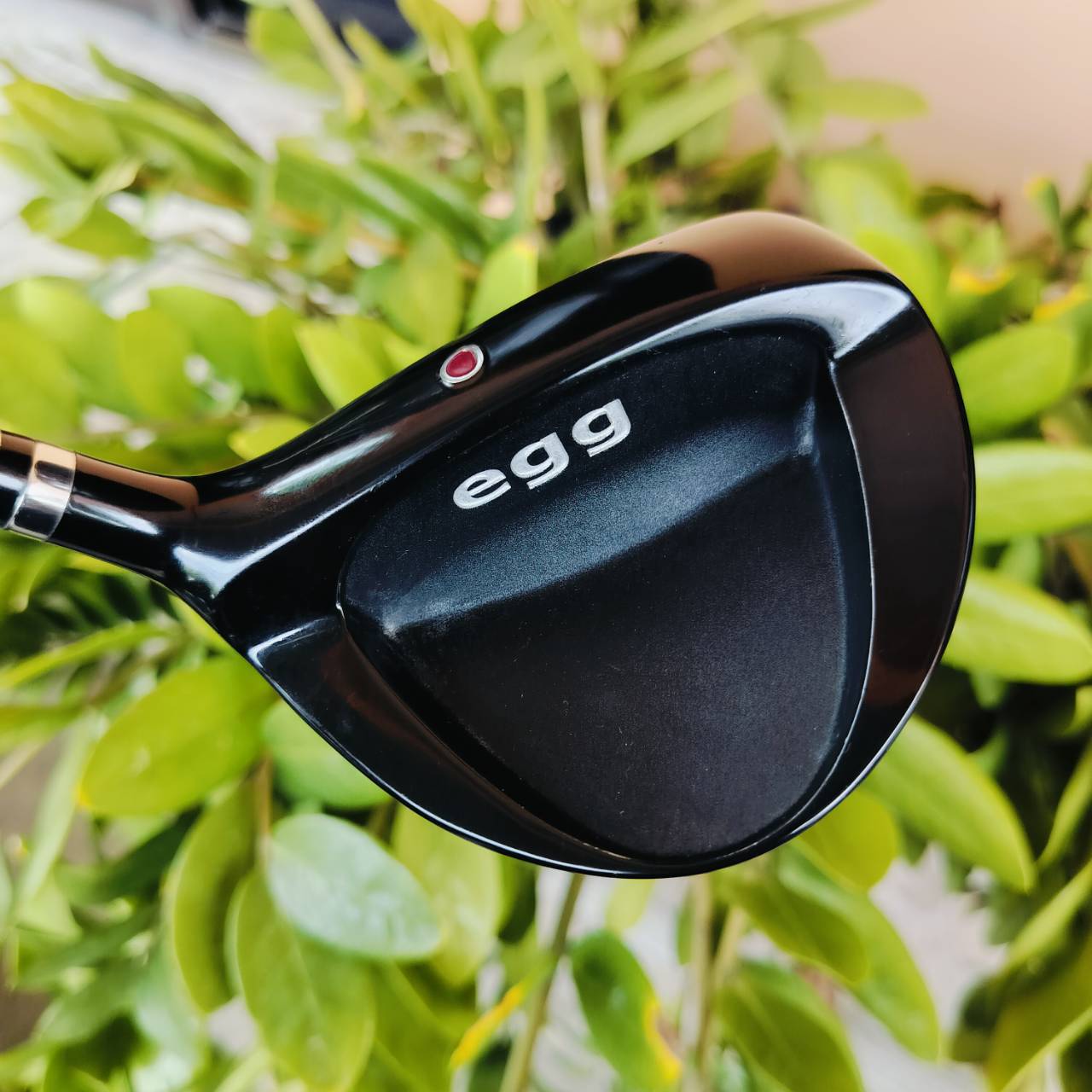 FW5 PRGR EGG พรีเมี่ยมญี่ปุ่น กระดองดีไซน์แบบพิเศษ ทำให้ ตีลูกลอยง่ายๆ ก้าน M-40 ไม้กอล์ฟพรีเมี่ยมมือสอง ของแท้ By NakaraLuxurious