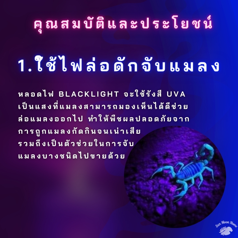 หลอดไฟดักแมลง แบล็คไลท์ หลอดไฟล่อแมลง ไฟแสงสีม่วง Black Light 45W 65W 85W